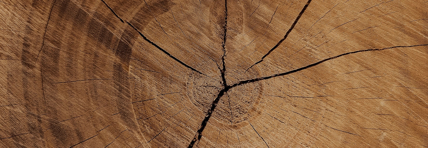 Solid Wood vs. Veneer: Why Quality is the Best Long-Term Investment