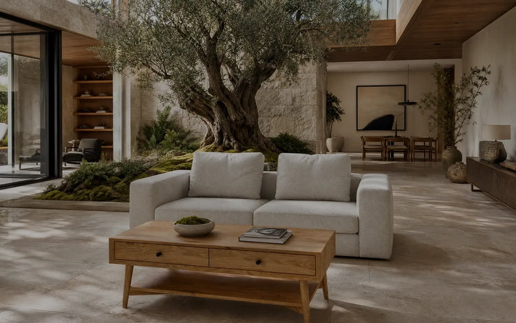 Biophilic living room with an indoor olive tree, neutral sofa and oak storage coffee table